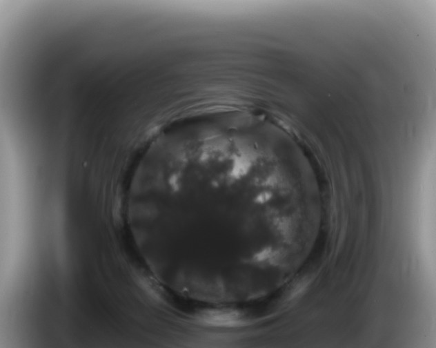 X0000086260266200704051309