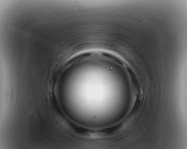 X0000086260268200704051309