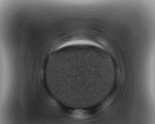X0000086260269200704051309