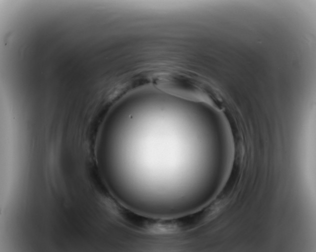 X0000086260270200704051309