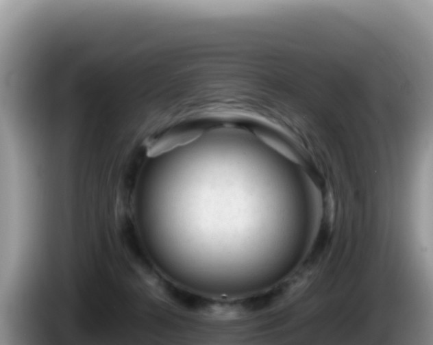 X0000086260272200704051309