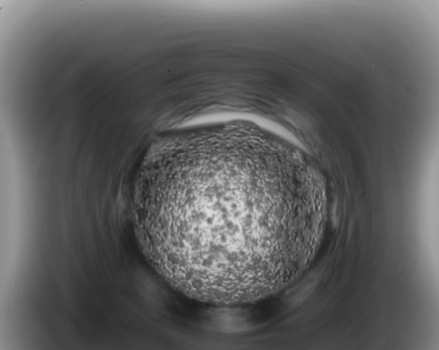 X0000086260273200704051309