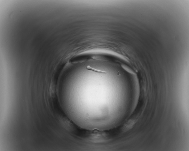 X0000086260274200704051309