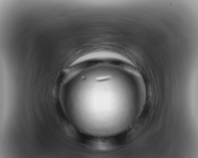 X0000086260275200704051309