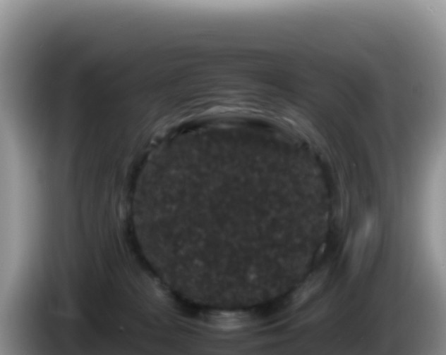 X0000086260277200704051309