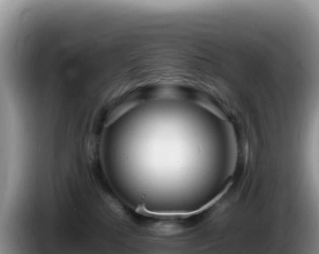 X0000086260280200704051309
