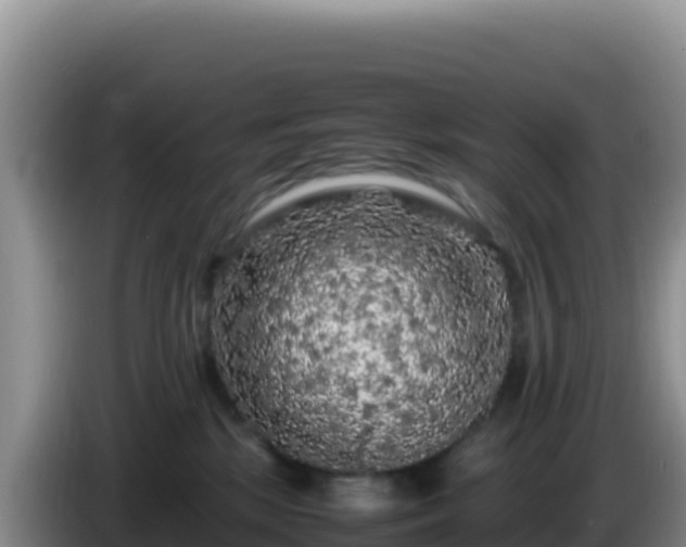 X0000086260281200704051309