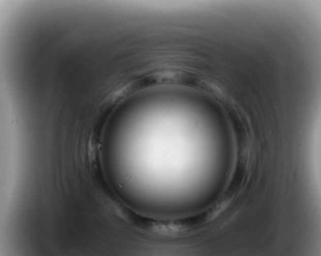 X0000086260282200704051309