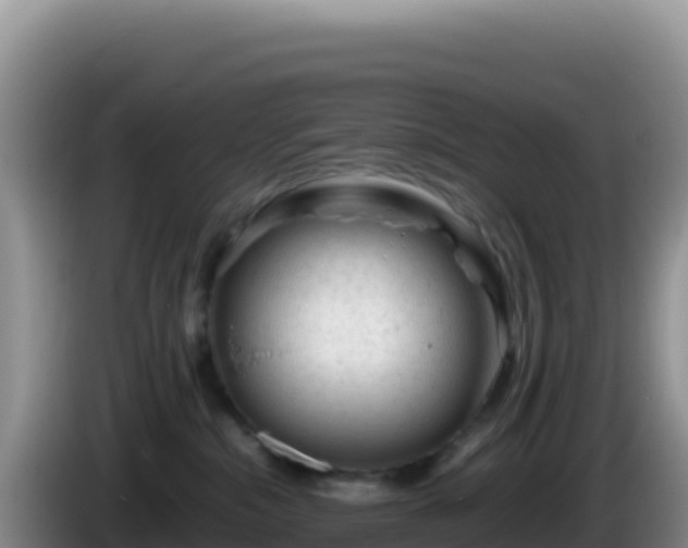 X0000086260284200704051309