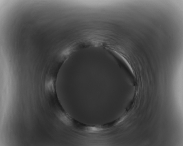 X0000086260286200704051309