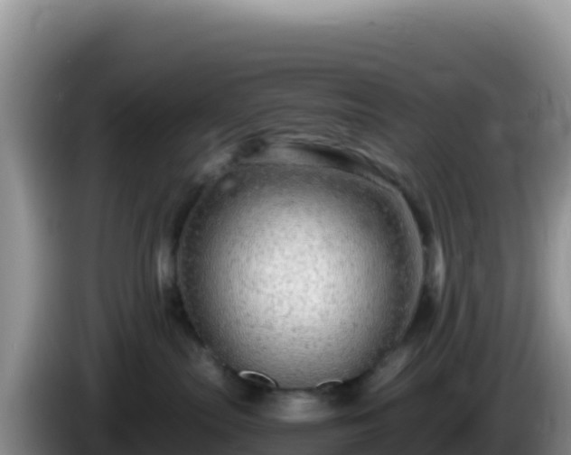 X0000086260287200704051309