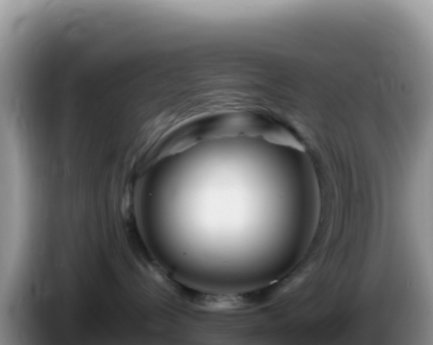 X0000086260288200704051309