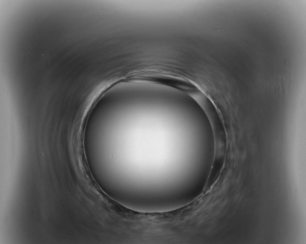 X0000086260289200704051308