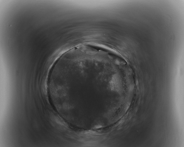 X0000086260290200704051308