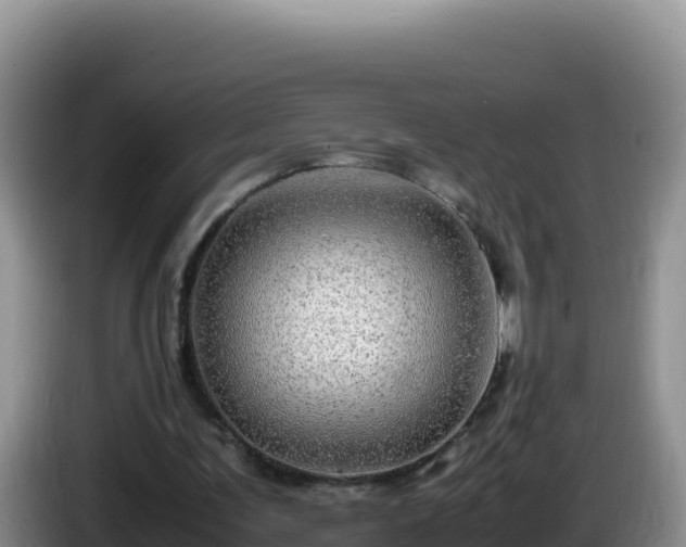 X0000086260291200704051308