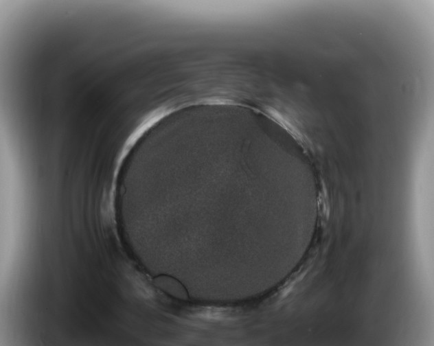 X0000086260292200704051308