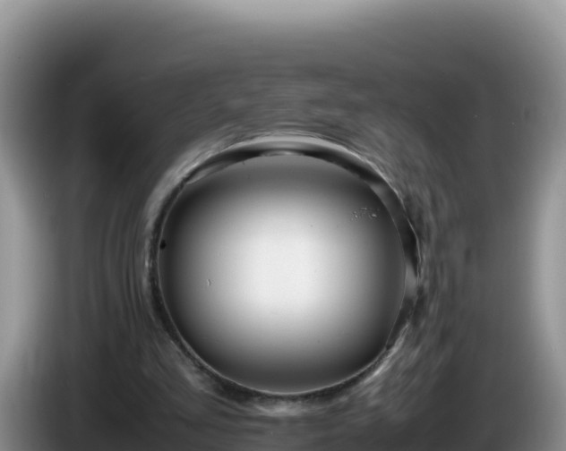 X0000086260293200704051308
