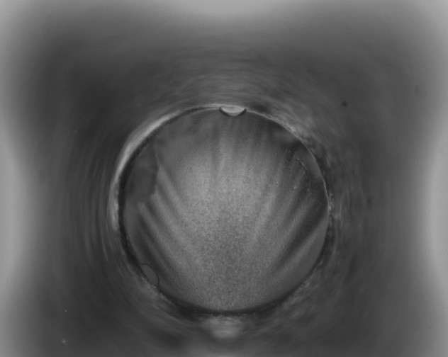 X0000086260294200704051308
