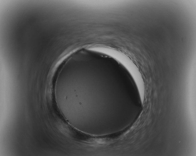 X0000086260295200704051308