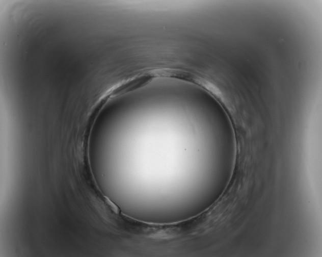 X0000086260297200704051308