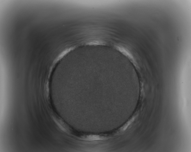 X0000086260298200704051308