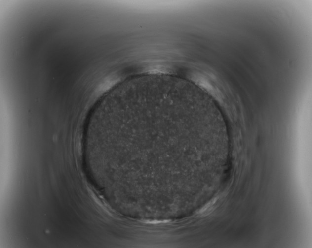 X0000086260299200704051308