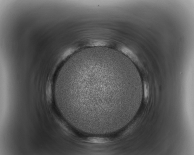 X0000086260300200704051308