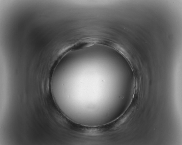 X0000086260301200704051308