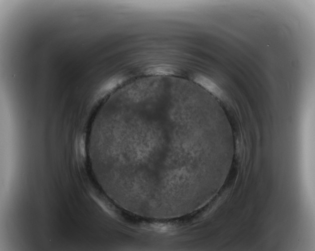 X0000086260302200704051308