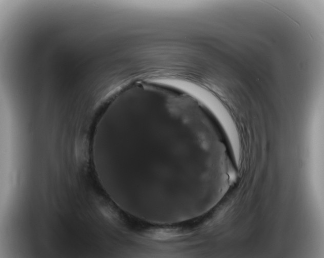 X0000086260303200704051308