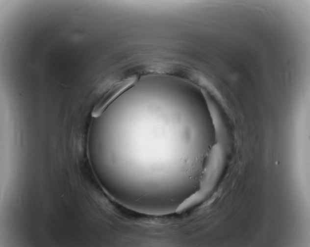 X0000086260305200704051308