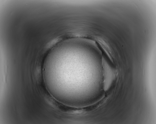 X0000086260306200704051308