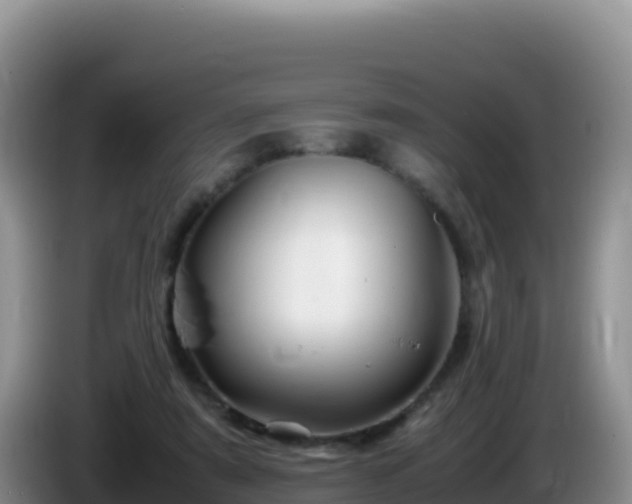 X0000086260307200704051308