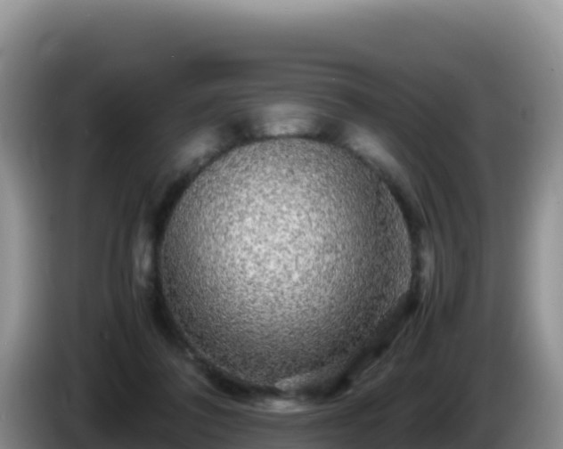 X0000086260308200704051308