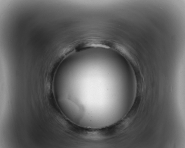 X0000086260309200704051308