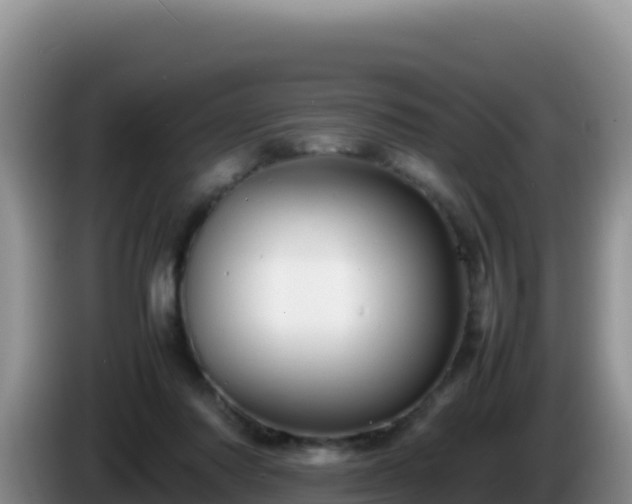 X0000086260310200704051308