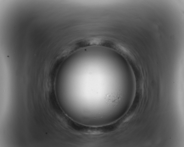 X0000086260311200704051308