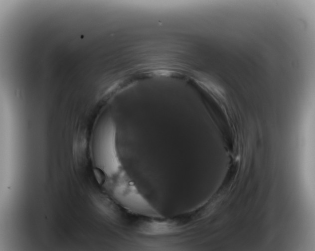 X0000086260314200704051308