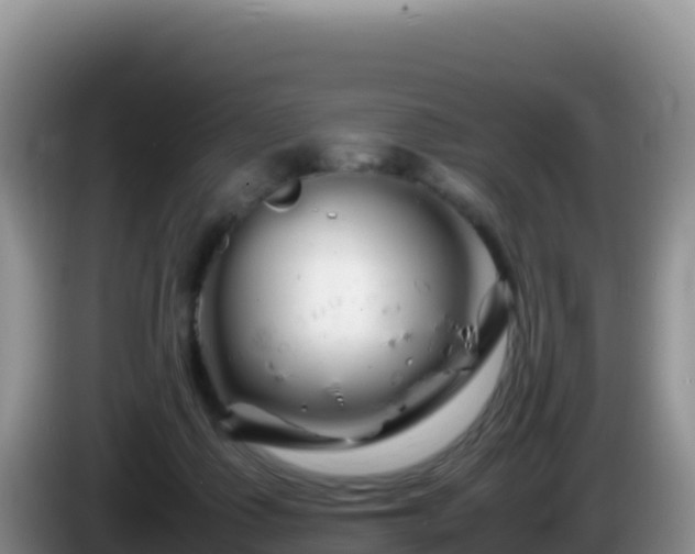 X0000086260315200704051308