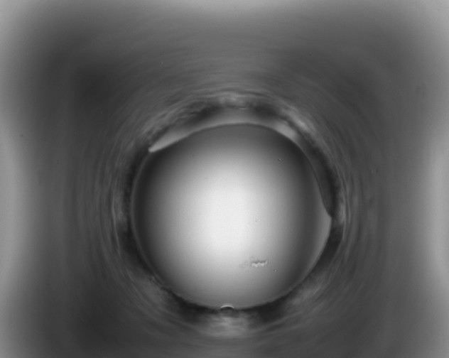 X0000086260317200704051308