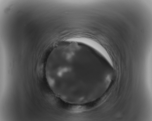 X0000086260319200704051308