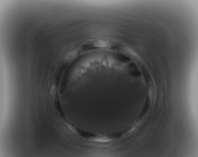 X0000086260322200704051308