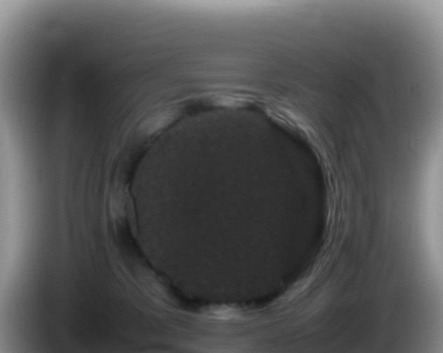 X0000086260325200704051308
