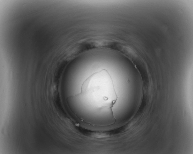 X0000086260327200704051308