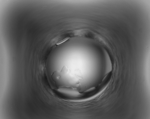 X0000086260329200704051308