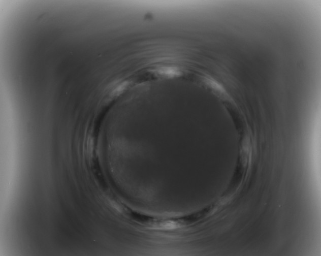 X0000086260330200704051308