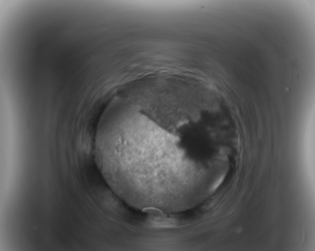 X0000086260331200704051308