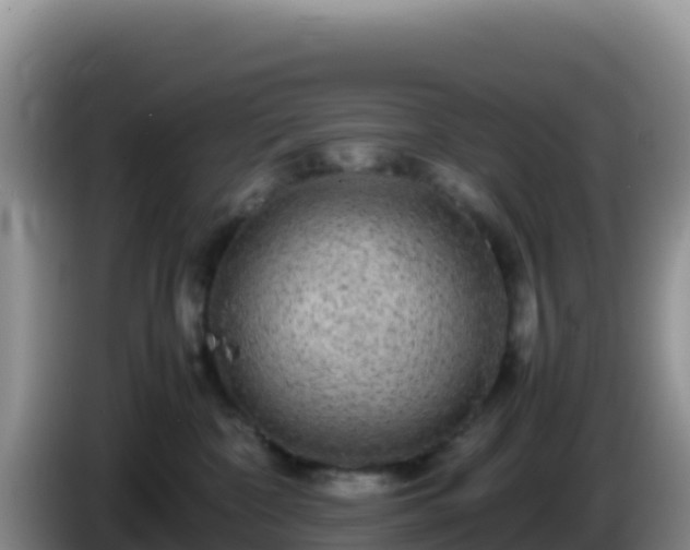 X0000086260332200704051308