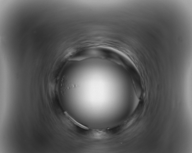 X0000086260333200704051308