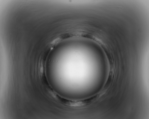X0000086260334200704051308